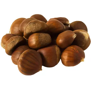 Kastanjer Klass 1 ICA.