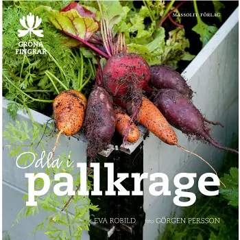 Odla i pallkrage.