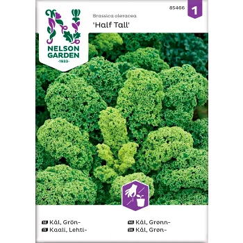Grönkål Half Tall 1-p Nelson Garden.