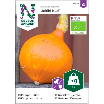Pumpa Jätte Organic 1-p Nelson Garden.
