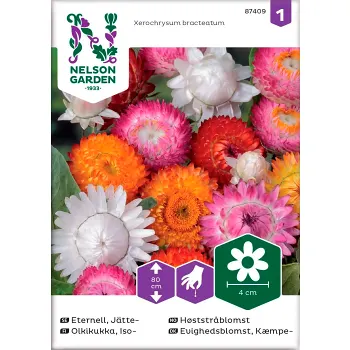 Eternell Jätte 1-p Nelson Garden.