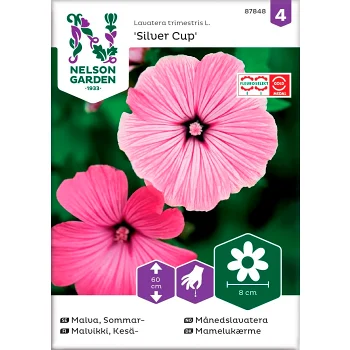 Malva Sommar Silver Cup Rosa 1-p Nelson Garden.