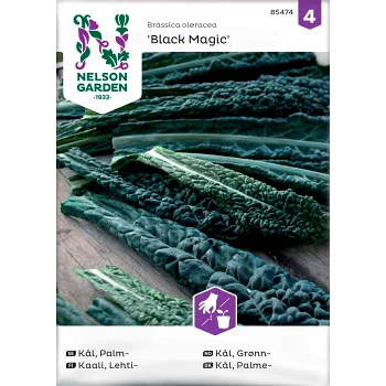Kål Palm Black Magic 1-p Nelson Garden.
