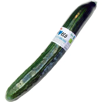 Gurka Ekologisk Sverige ca 300g Klass 1 ICA.