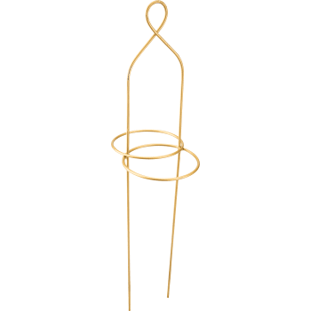 Amaryllisstöd Guld 1-p.