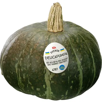 Pumpa Delica ca 1kg Klass 1 ICA.