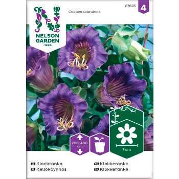 Klockranka Blå Nelson 1-p Garden.