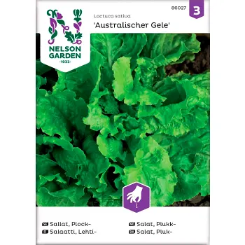 Sallat Plock Australischer Gele 1-p Nelson Garden.