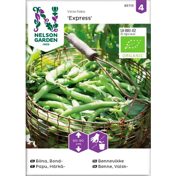 Bondböna Express 1-p Nelson Garden.