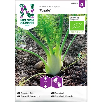 Fänkål Söt Finale 1-p Nelson Garden.