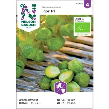 Kål Bryssel Igor 1-p Nelson Garden.