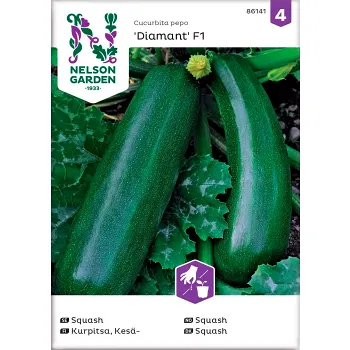 Squash Diamant F1 1-p Nelson Garden.