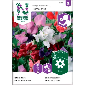 Luktärt Royal Blandade färger 1-p Nelson Garden.