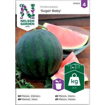 Melon Vatten Sugar Baby 1-p Nelson Garden.