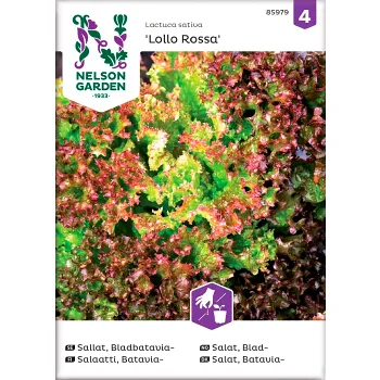 Sallat Bladbatavia Lollo Rossa 1-p Nelson Garden.