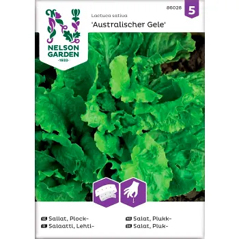 Sallat Plock Australischer 1-p Nelson Garden.