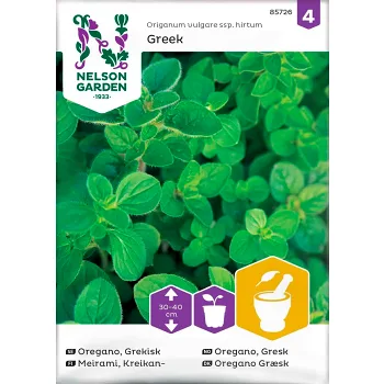 Oregano Grekisk 1-p Nelson Garden.