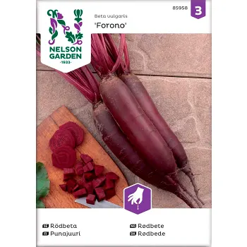 Rödbeta Forono Avlång 1-p Nelson Garden.