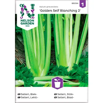 Selleri Blek Golden Self Blanchi 1-p Nelson Garden.