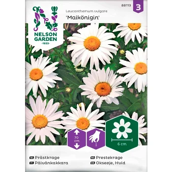 Prästkragee Maik 1-p Nelson Garden.