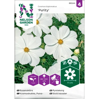 Rosenskära Purity Vit 1-p Nelson Garden.