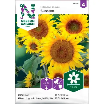 Solros Sunspot 1-p Nelson Garden.