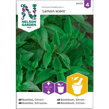 Basilika Citron Lemon Scent 1-p Nelson Garden.