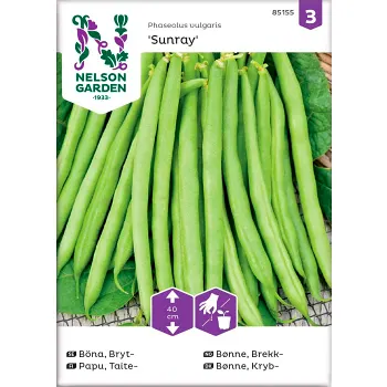 Böna Bryt Sunray 1-p Nelson Garden.