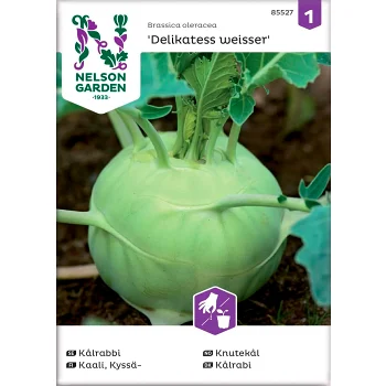 Kålrabbi 1-p Nelson Garden.
