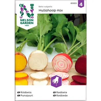 Rödbeta Hullahoop Mix 1-p Nelson Garden.