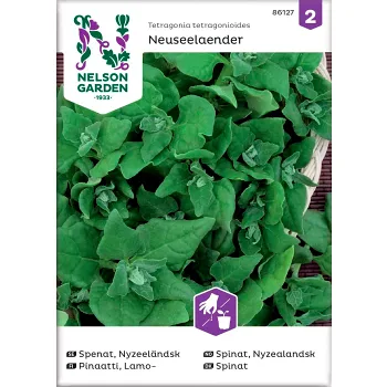 Spenat Nyzeeländsk 1-p Nelson Garden.