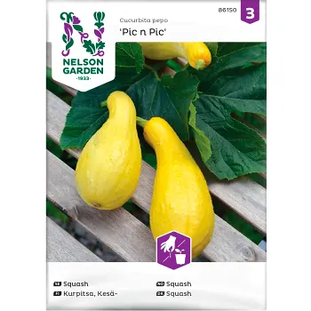 Squash Pic n pic 1-p Nelson Garden.