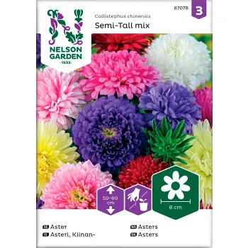 Aster Dubbel Blandade färger 1-p Nelson Garden.