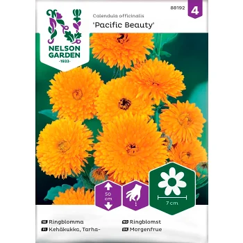 Ringblomma Pacifi 1-p Nelson Garden.