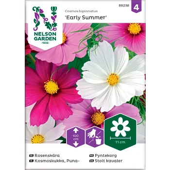 Rosenskära Early Summer Blandade färger 1-p Nelson Garden.