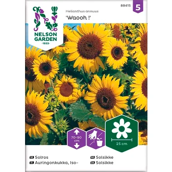 Solros Waooh Låg 1-p Nelson Garden.