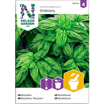 Basilika Ordinary 1-p Nelson Garden.