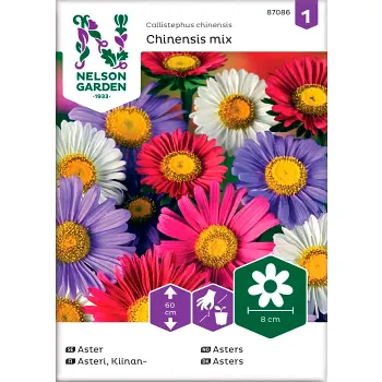 Aster Enkel blandade färger 1-p Nelson Garden.