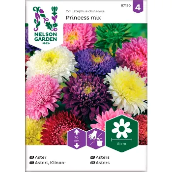 Aster Princess Blandade färger 1-p Nelson Garden.