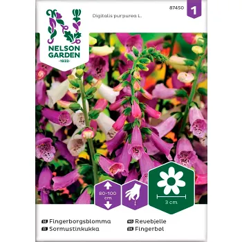 Fingerborgsblomma 1-p Nelson Garden.