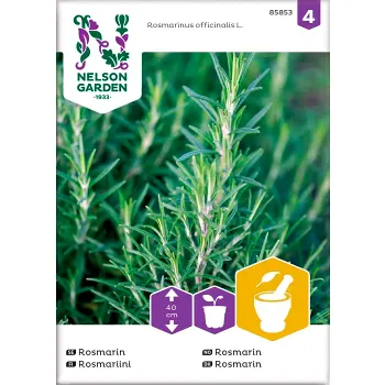 Rosmarin 1-p Nelson Garden.