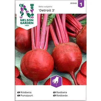 Rödbeta Detroit 2 Rund 1-p Nelson Garden.