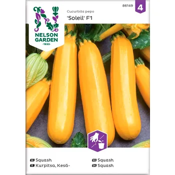 Squash Gold Rush F1 1-p Nelson Garden.