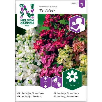 Lövkoja Sommar 1-p Nelson Garden.