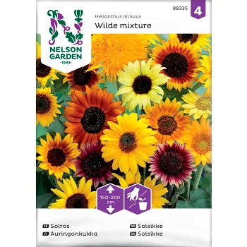 Solros Blandade sorter 1-p Nelson Garden.