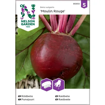 Rödbeta Moulin Roug 1-p Nelson Garden.