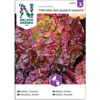 Sallat Huvud Merville 1-p Nelson Garden.