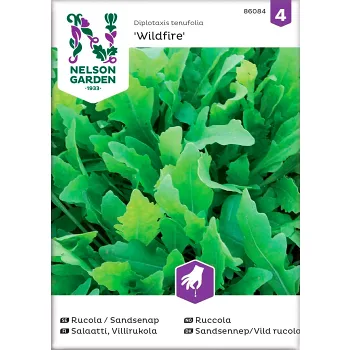 Rucola Sandsenap Wildfire 1-p Nelson Garden.