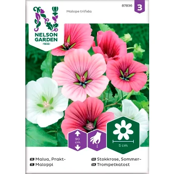 Malva Prakt Blandade färger1-p Nelson Garden.