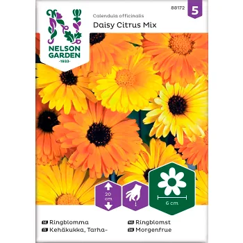 Ringblomma Daisy Citrus Mix 1-p Nelson Garden.
